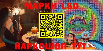 гидра Будённовск