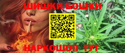 гидра Будённовск