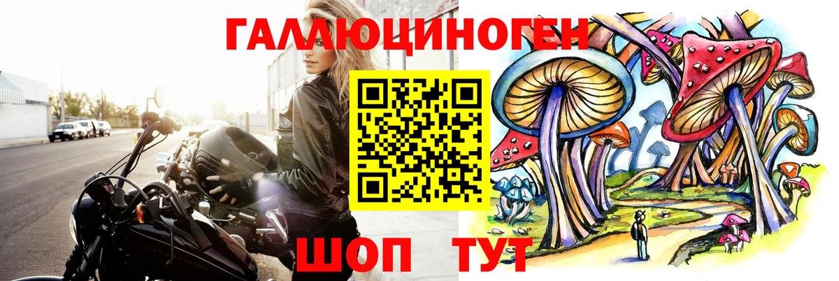Псилоцибиновые грибы Psilocybine cubensis Полевской